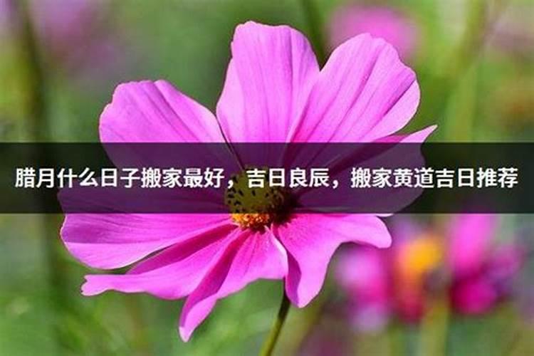 黄道吉日指的是什么意思