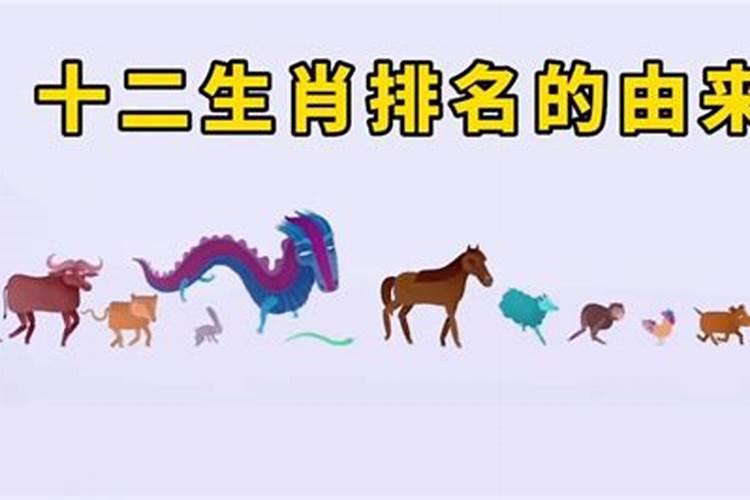 十二生肖哪个大公无私