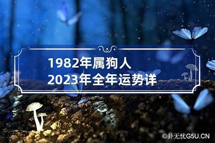 2023年属狗人全年运势1982