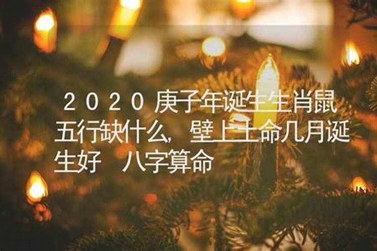 2020鼠五行属什么缺什么