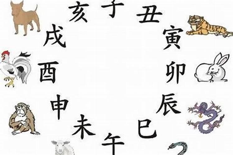 如何看一个八字