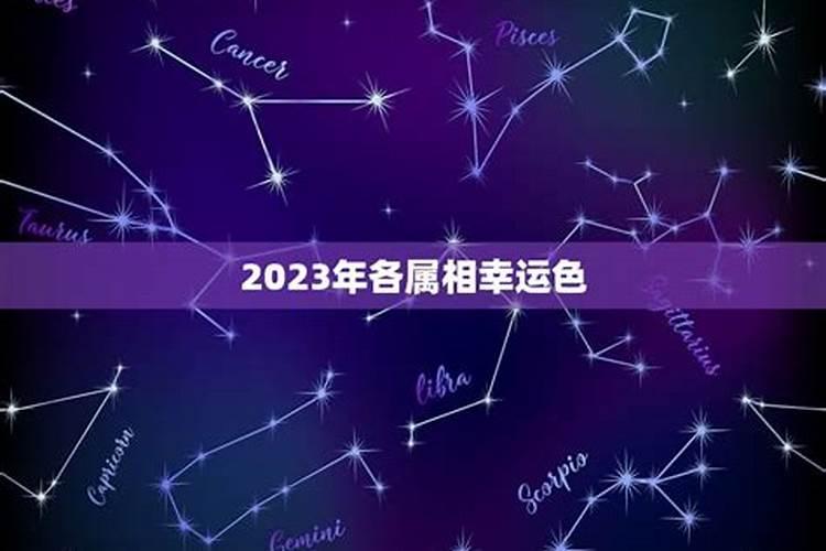 属兔今年的幸运色是什么颜色2023