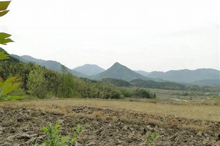 龙含珠风水宝地