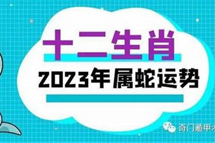 生肖蛇2022年的运势