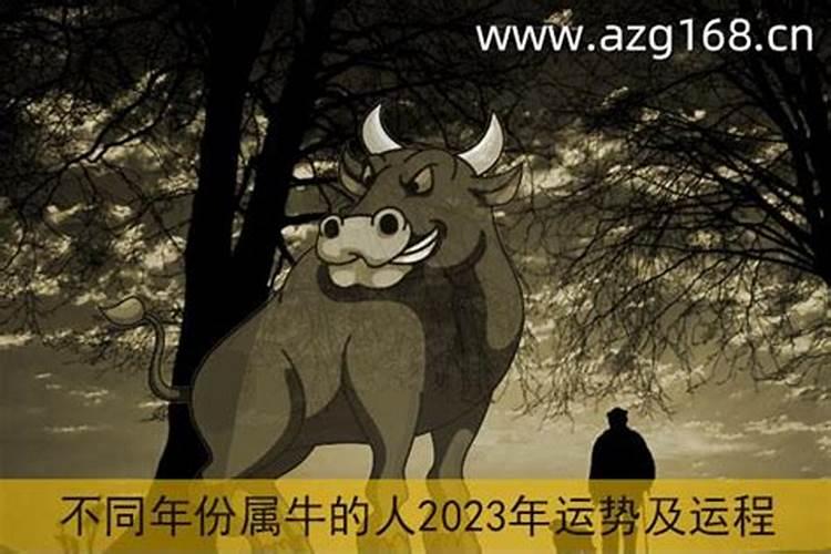 属牛十二月2023运势如何