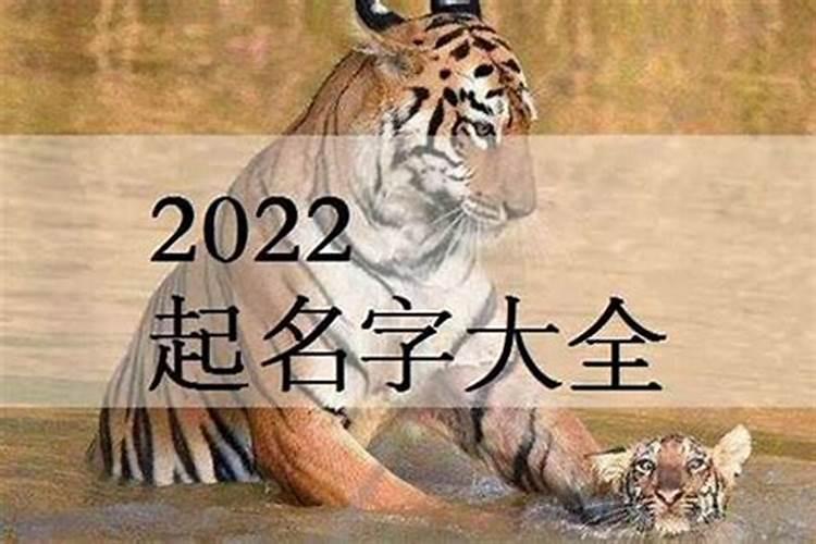 2022年属虎几岁