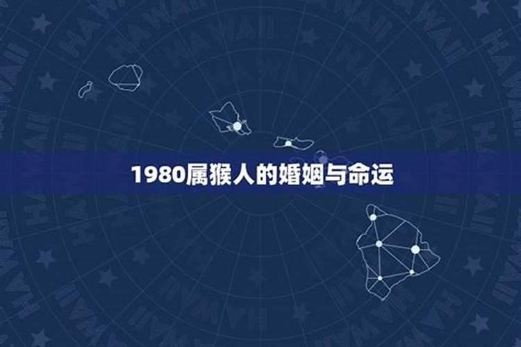 1980年属猴婚姻