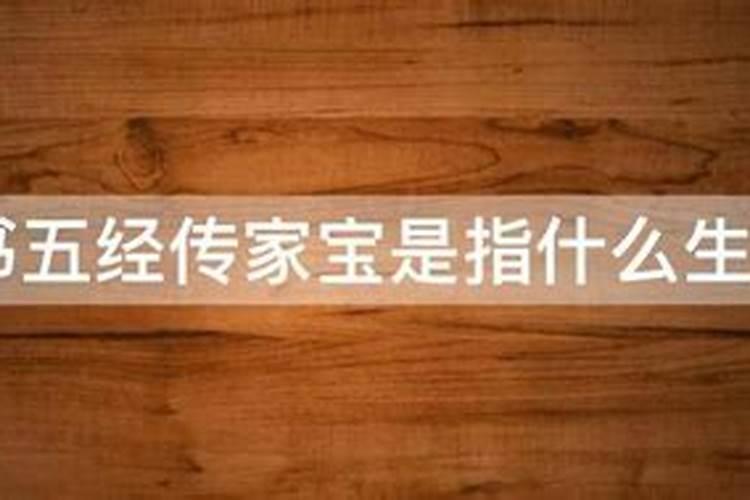 十二生肖中宝是什么意思