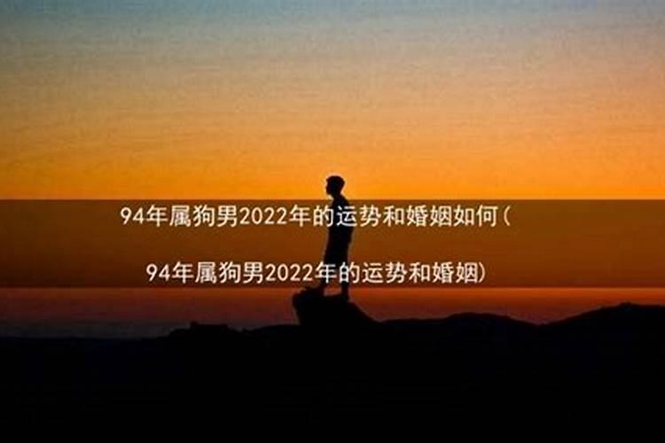 94年属狗在2022年运势