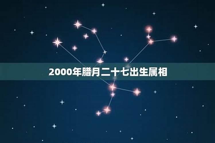 2000年二月出生属什么