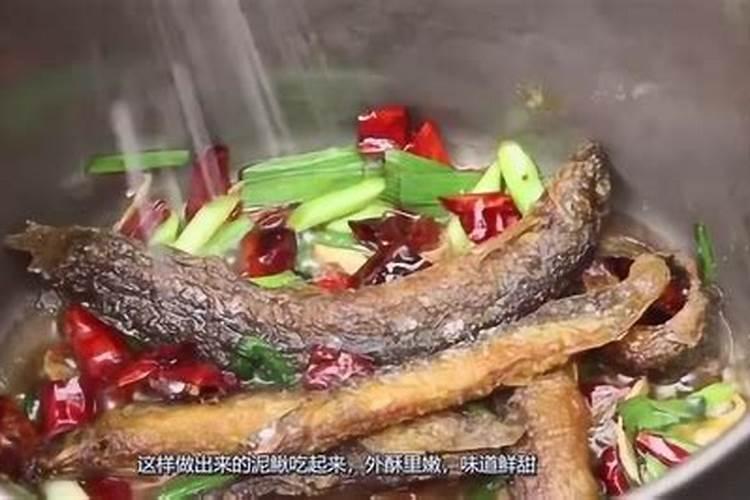 泥鳅属什么动物生肖