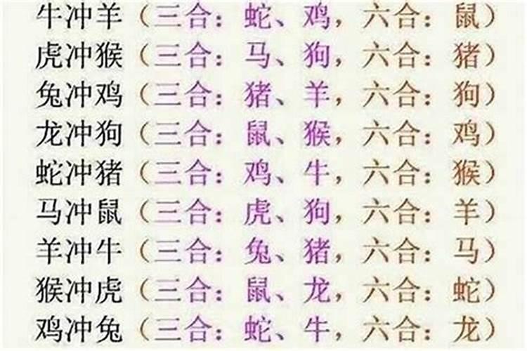 将错就错的生肖