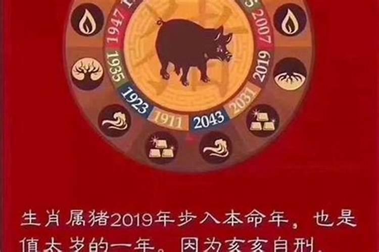 2019年什么生肖犯太岁,都是哪年出生的人