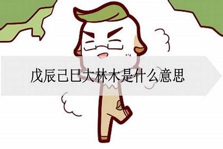 大林木是什么生肖哪年