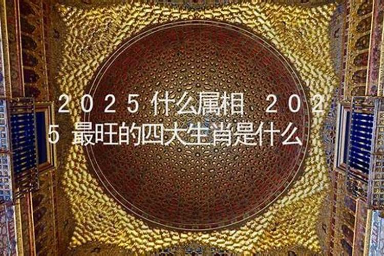 2025属于什么生肖年