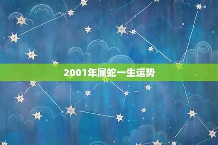 2001年属蛇人一生命运怎么借法破掉