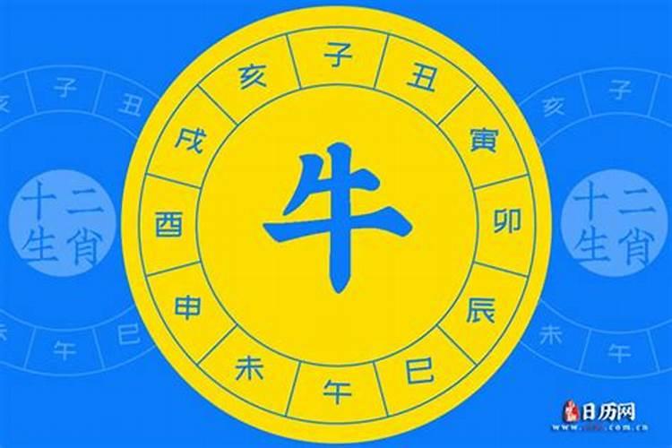 属牛什么命五行属相表