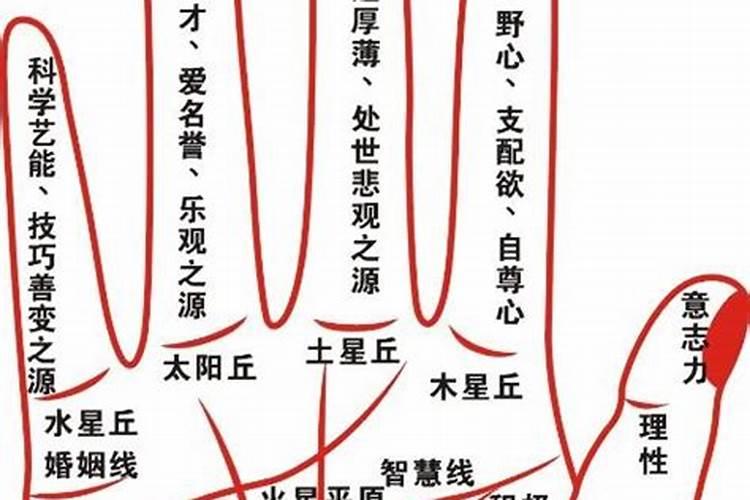 女人梦见亲戚来家里做客很开心什么意思啊