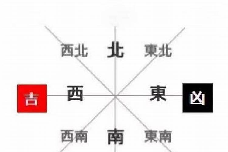 籽的五行属什么