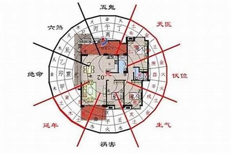 父母属兔孩子属虎相冲吗好不好