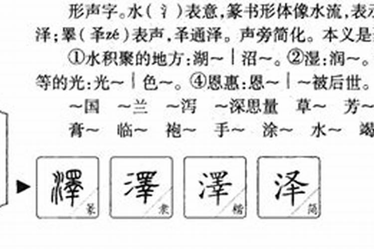 泽字的五行属于什么