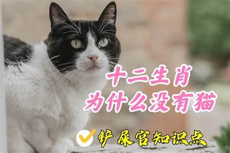 12生肖为什么没有猫最合理的解释