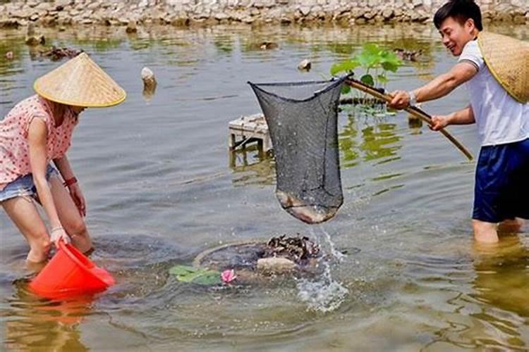 梦见在抓鱼是什么意思