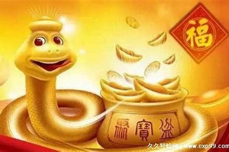 属相属蛇的今年多大年龄