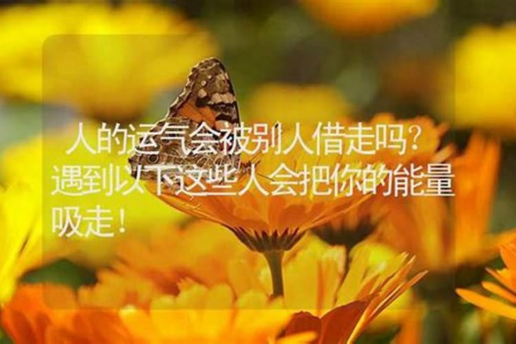 大运偏财伤官正官女命好不好