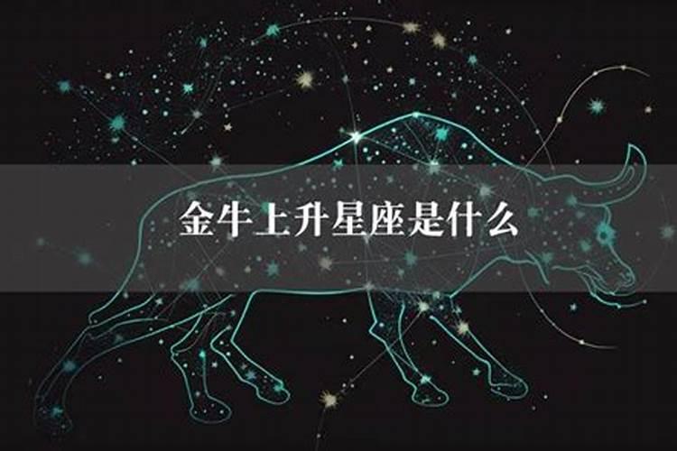 什么星座的上升星座是金牛