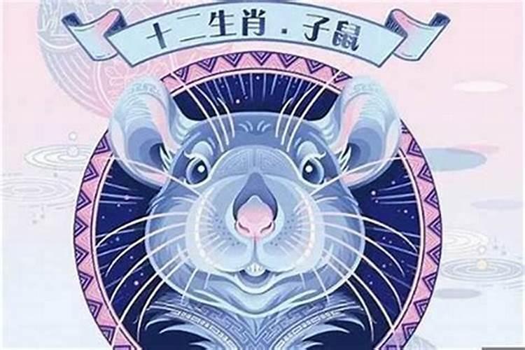 2023猪今年什么犯太岁