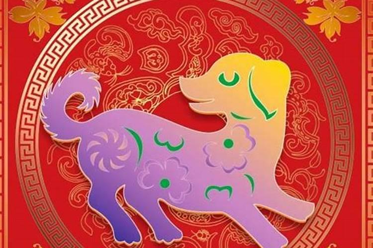 属猪今年忌讳什么