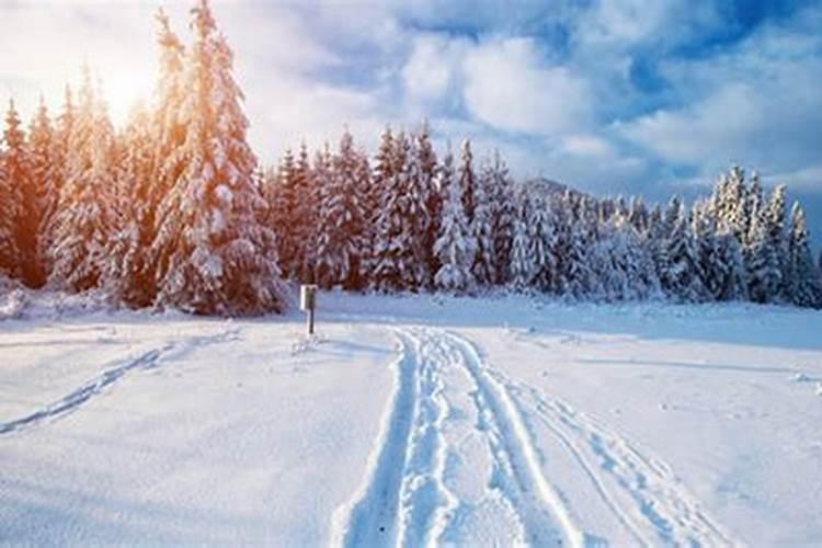 已婚女人梦见地上有雪