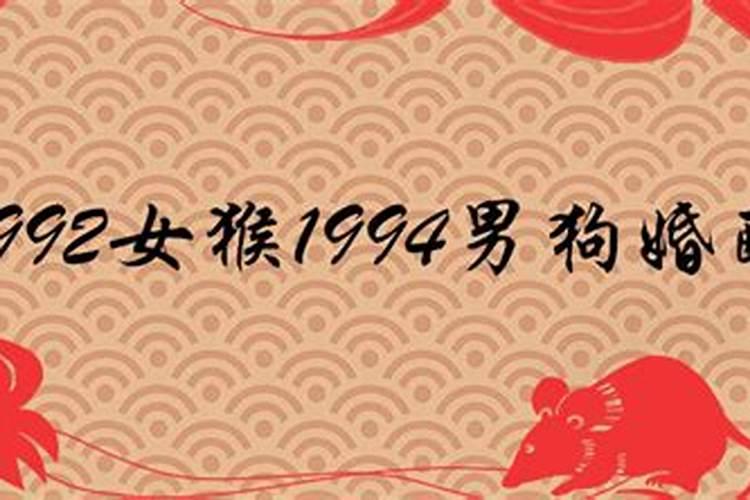 92年男猴和94女狗婚配