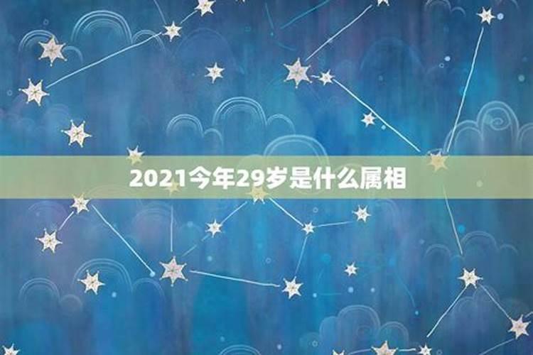 2021年二十八岁属什么生肖