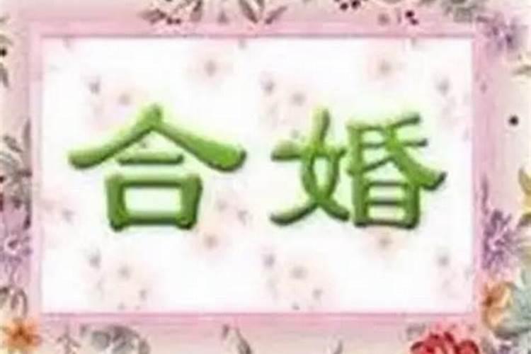 两个人的生辰八字