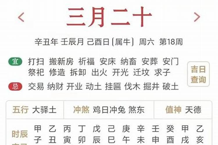 明年是什么生肖年2022年