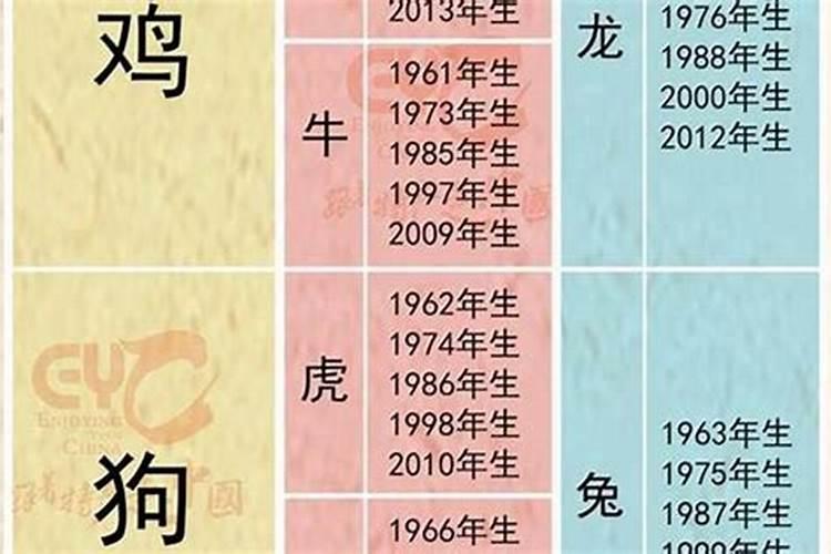 82年和91年生肖配对