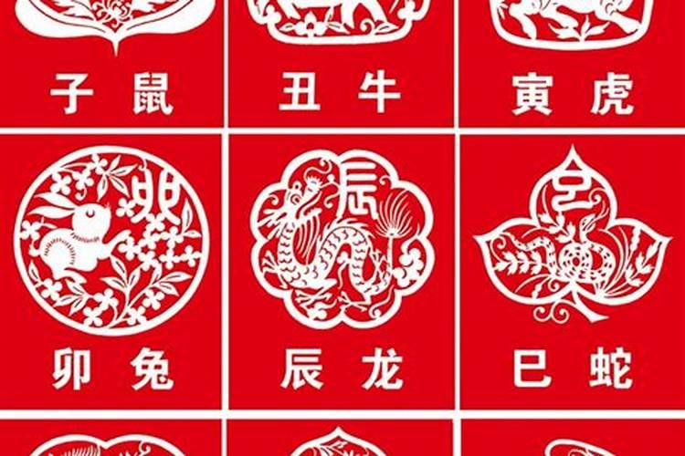 己巳年是五行属什么