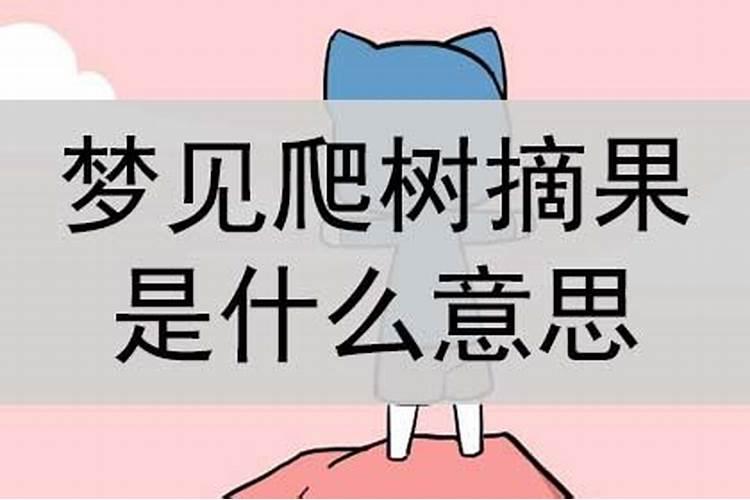 梦见爬树是什么意思周公解梦