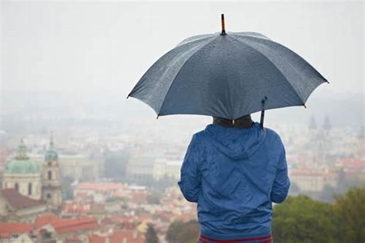 梦见下雨和雨伞