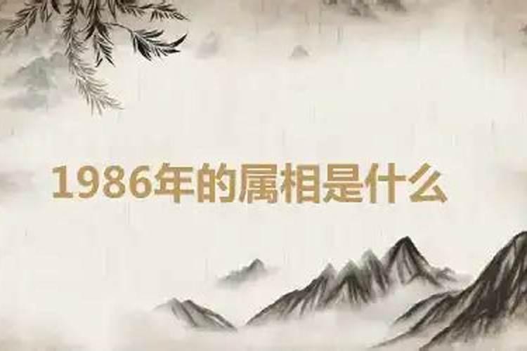 1986年属相是什么命