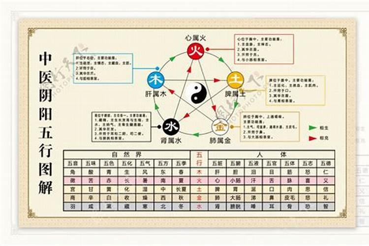 26个英文字母五行属性