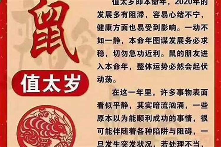 属猴今年犯太岁吗2022