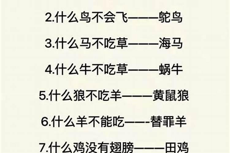 1966年属马的2023年的运势如何