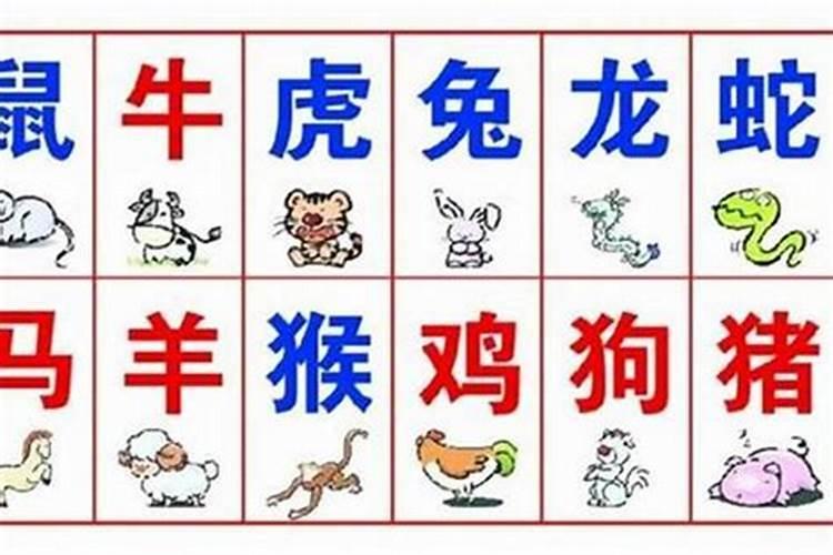 属字解什么生肖最好