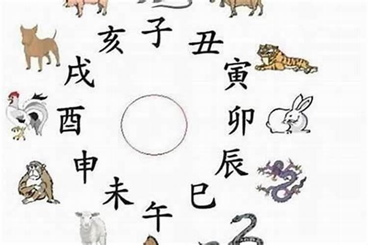 易字解什么生肖