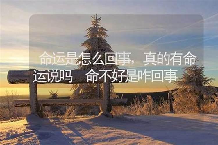 命运坎坷是什么意思是什么