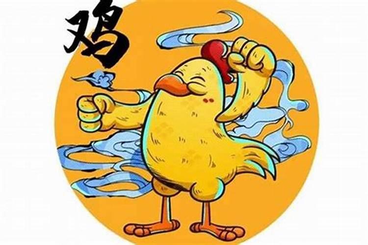 属牛和鼠鸡的合不合