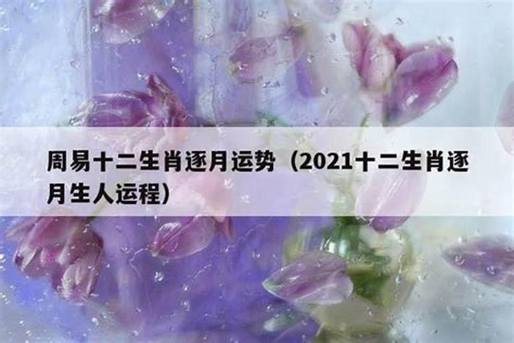 生肖运势8月运势2021